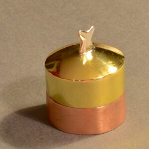 Metalldöschen mit Delfinflosse – „Wellenhüterin“